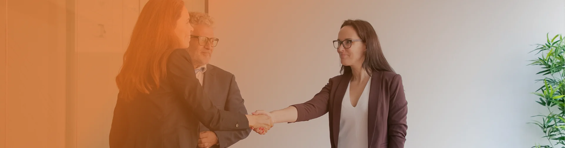 Expert Bridging Loan Options